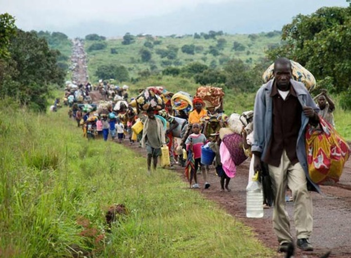 <p>migratory phenomenon</p>