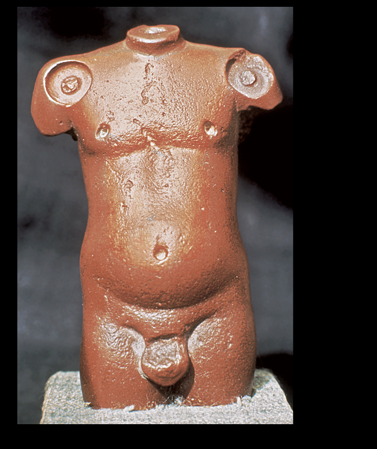 <p><span>MALE TORSO<br>From Harappa. Indus Valley civilization, c. 2600-1900 BCE.<br>Red sandston</span></p><p></p>