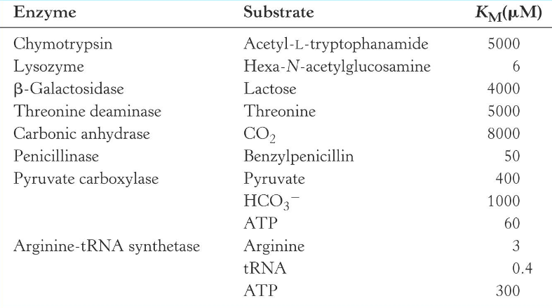 <p>lower the Km, the less Substrate the enzyme requires, which is associated with more efficient catalysis</p><p>most Km values range between 10-7 to 10-1 M</p>