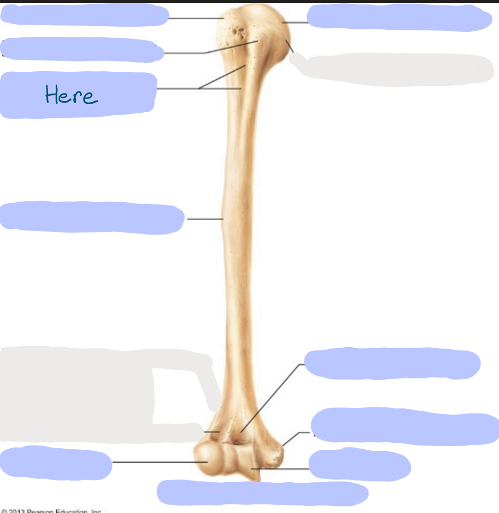 <p>What is here?</p>
