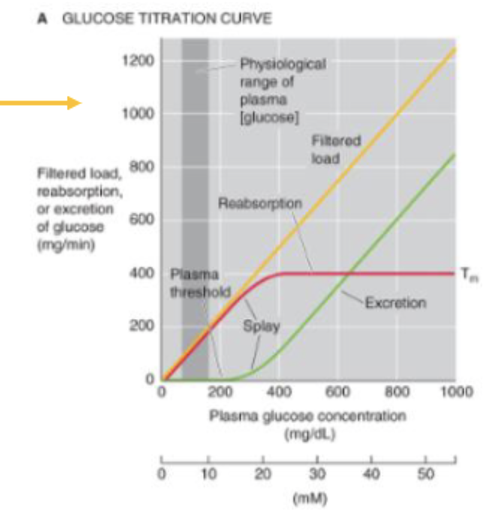 <p>400</p><p>that the SGLT1 and SGLT2 cotransporters become fully saturated</p>