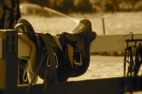 ma an (saddle)