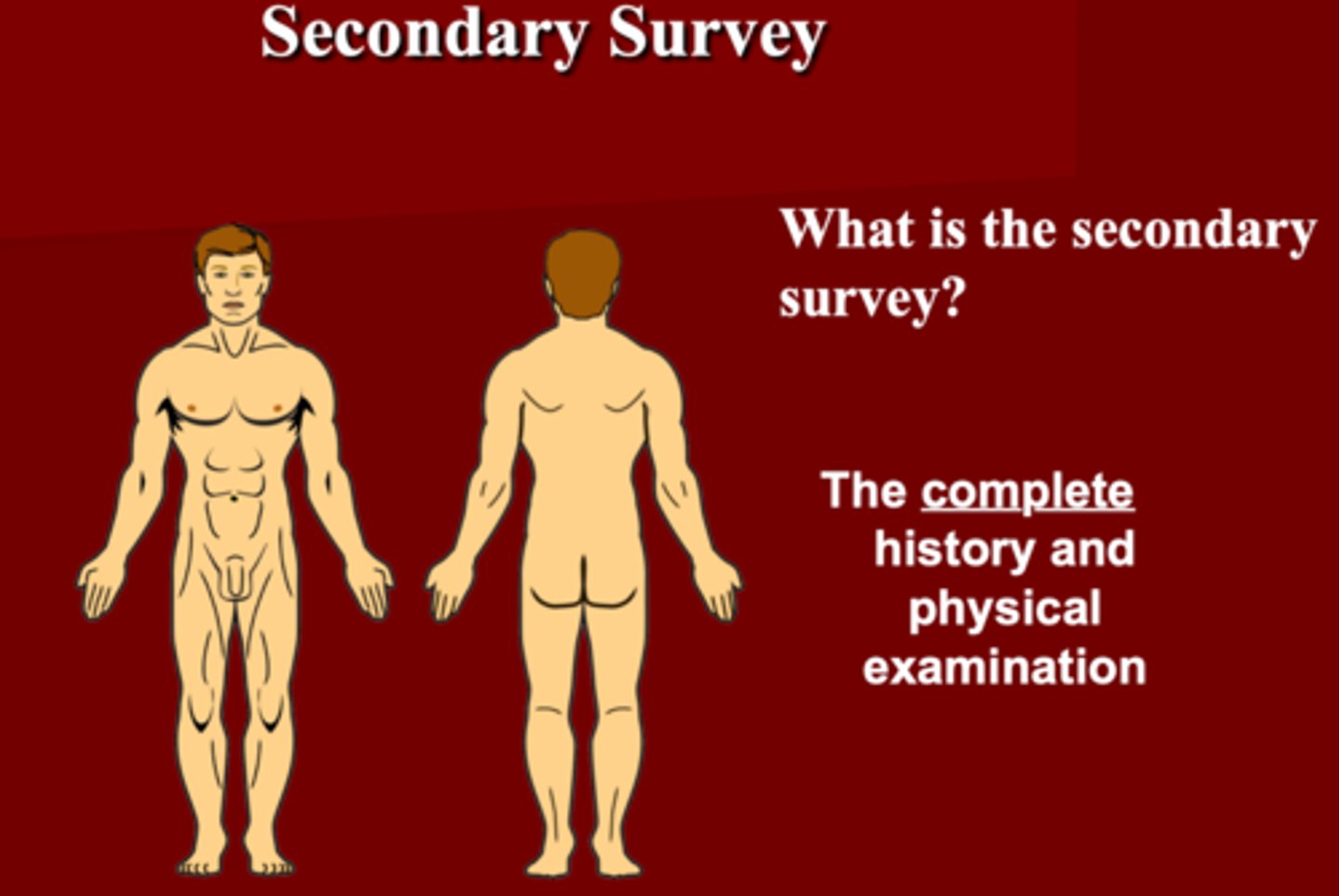 <p>Secondary Survey </p>