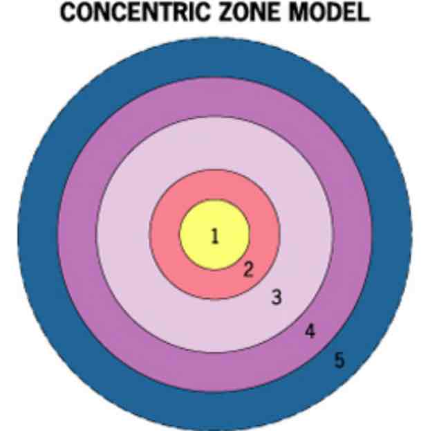 <p>Burgess Concentric Zone Model</p>