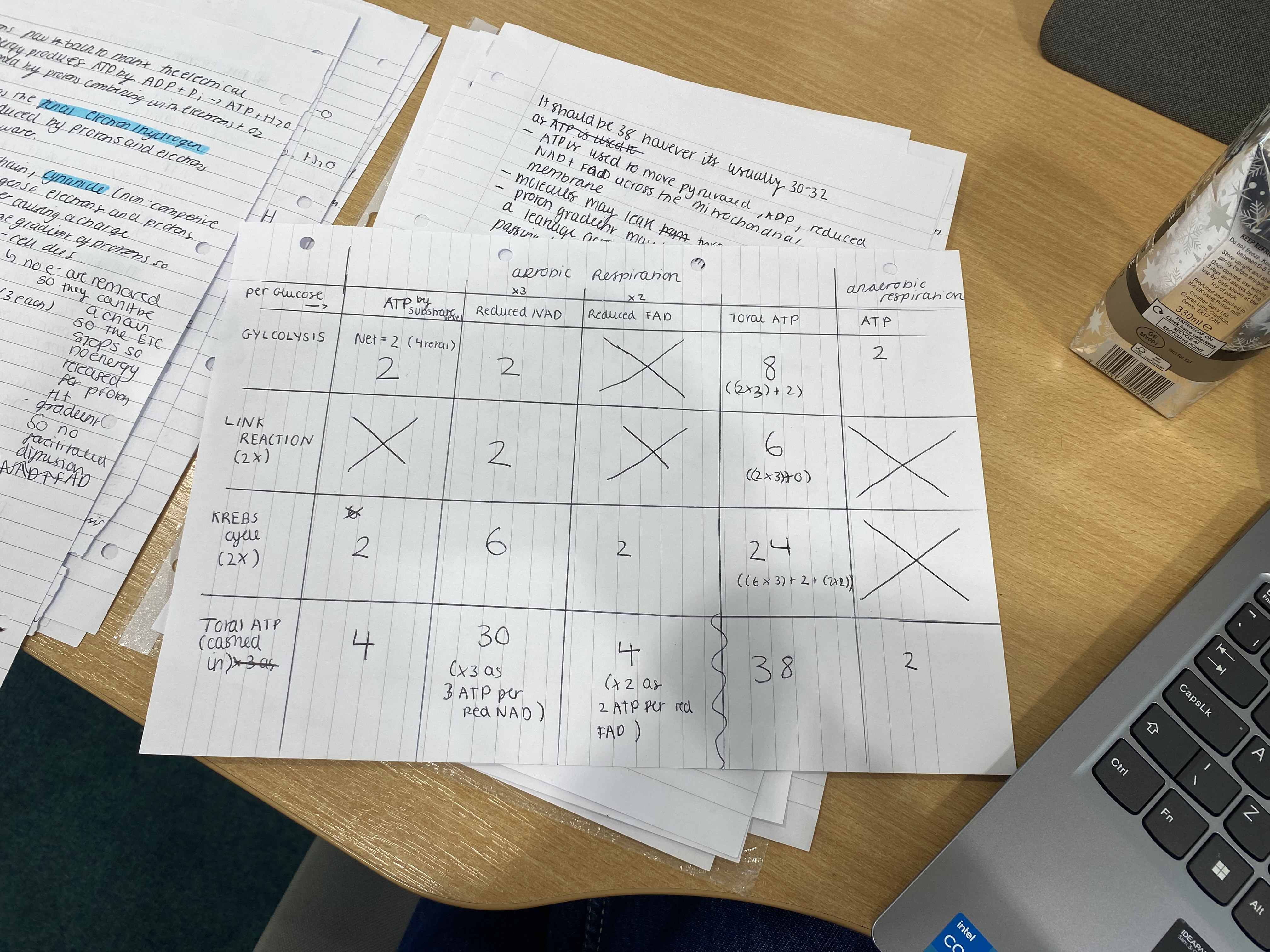 <ol><li><p>Glycolysis - occurs in cytoplasm and produces reduced 2 NAD and&nbsp; 4 ATP (2 net) and 2 pyruvate</p></li><li><p>Link - in matrix of mitochondria and produces 2 acetyl coA</p></li><li><p>Krebs - Occurs in mitochondria matrix and produces 2 x Co2 and 3 (6 per glucose) reduced NAD and 1 (2 per glucose) FAD and 2 ATP&nbsp;</p></li><li><p>ETC - occurs across cristae and produces ATP (24) and water (2 per glucose)</p></li></ol><p></p>