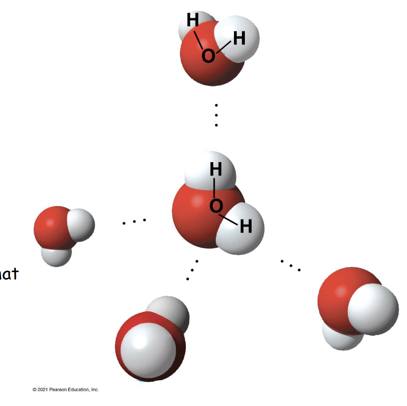 <p>How many water molecules are pictured?</p>