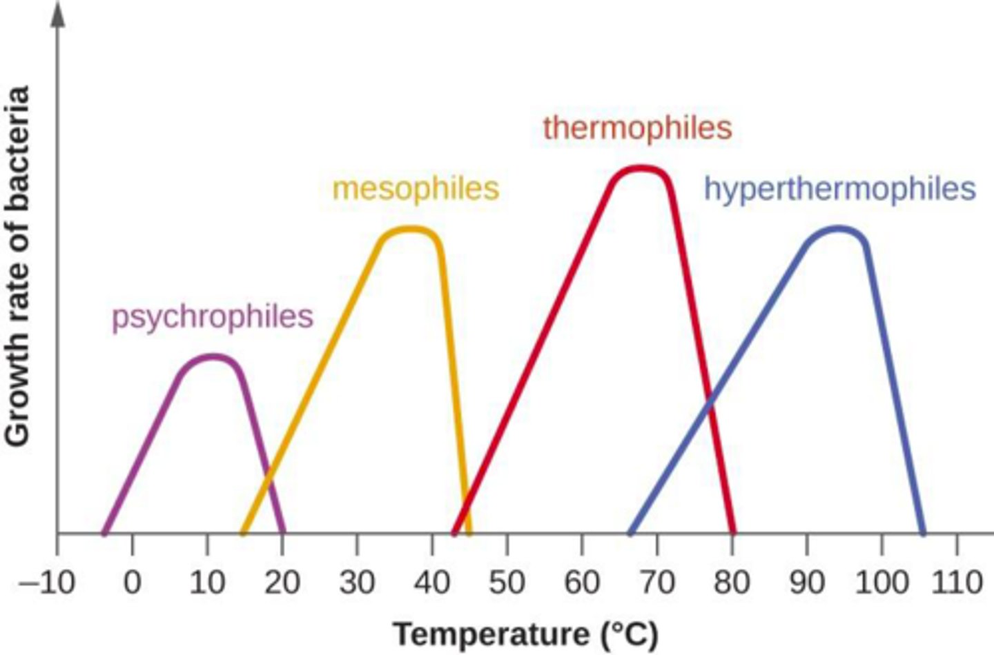 <p>1. psychrophiles: cold-loving</p><p>- grow only below 20°C</p><p>2. psychotrophs: cold to warm dwellers</p><p>- grow in environments from 0°C to >30°C</p><p>3. mesophiles: medium temperature thrivers</p><p>- grow in environments from 15°C to 45°C</p><p>4. thermophiles: hot-loving</p><p>- grow in environments above 40°C</p><p>5. extreme thermophile</p><p>- grow best above 80°C</p>