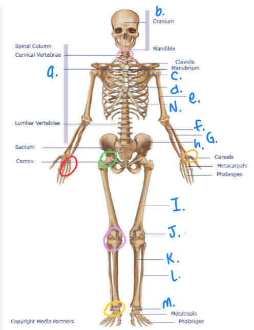 <p>What is K?</p>