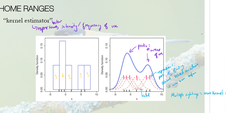<ul><li><p>minimum convex polygon - smallest polygon that can be drawn around a point with all external areas convex</p></li><li><p>Kernel estimator - represents the intensity/frequency of land use using kernels that increase the likelihood of an animal being seen in that area</p></li></ul><p></p>
