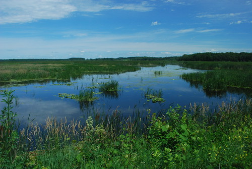 An area of waterlogged soil that tends to be peaty; fed mainly by upwelling water; low productivity.