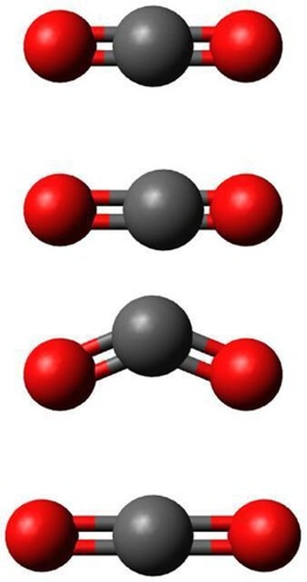 <p>Gas molecule containing one carbon and two oxygens</p>