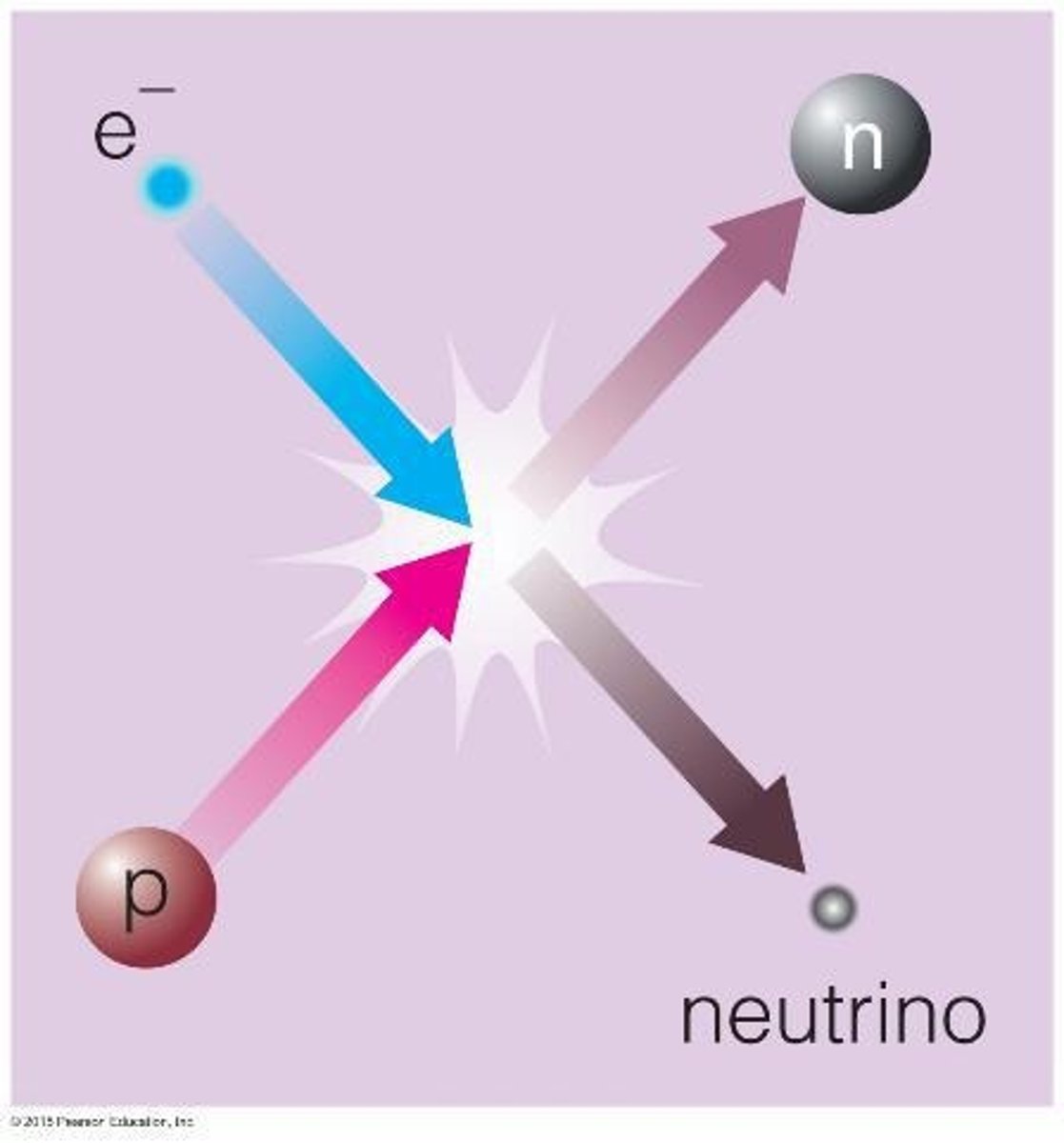 <p>The core collapses, leading to a rapid increase in temperature and pressure, resulting in a neutron star formation.</p>