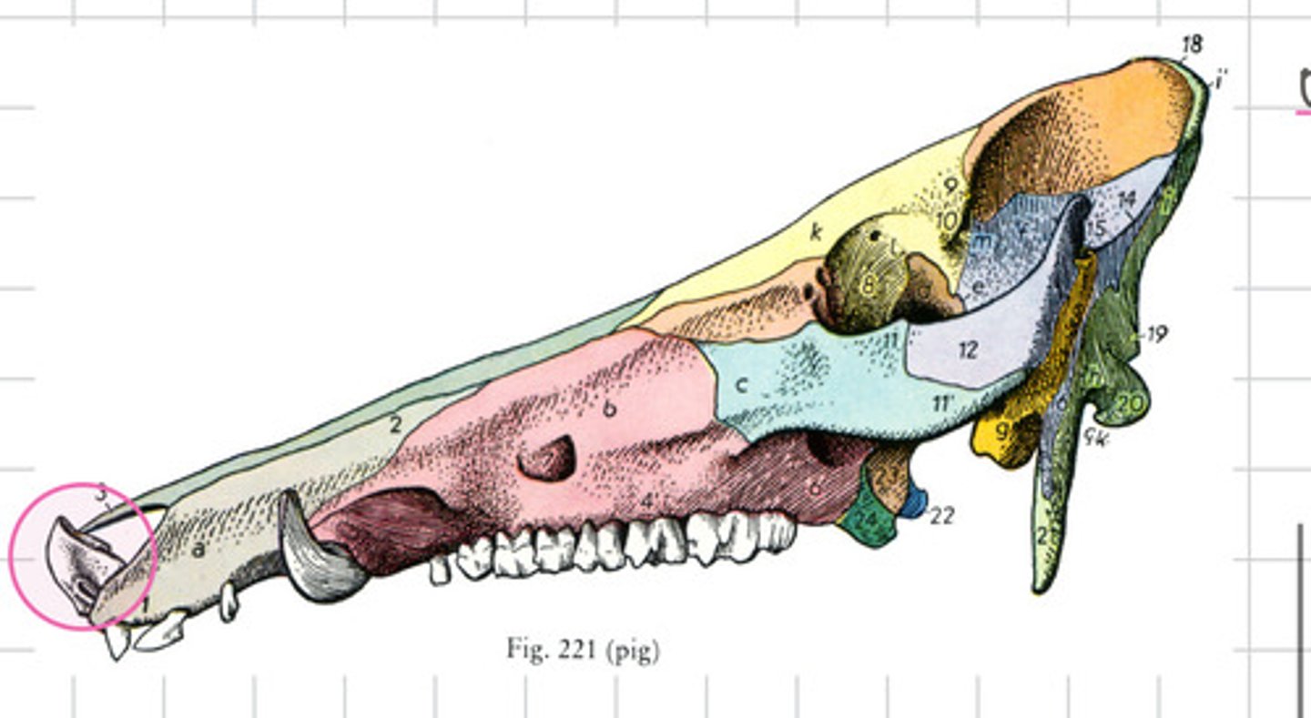 <p>What is circled?</p>