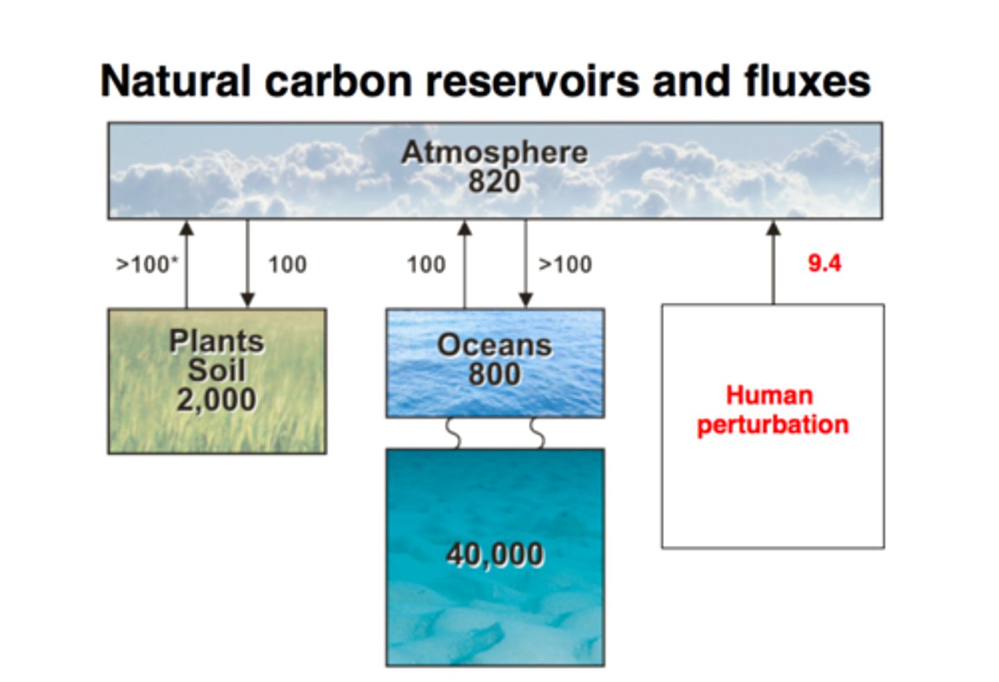 <p>The components of the biogeochemical cycle that contain matter, including air, water, and organisms</p>