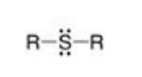 <p><span><span>functional group: -SR</span></span><br><span><span>(alkythio group)</span></span></p>