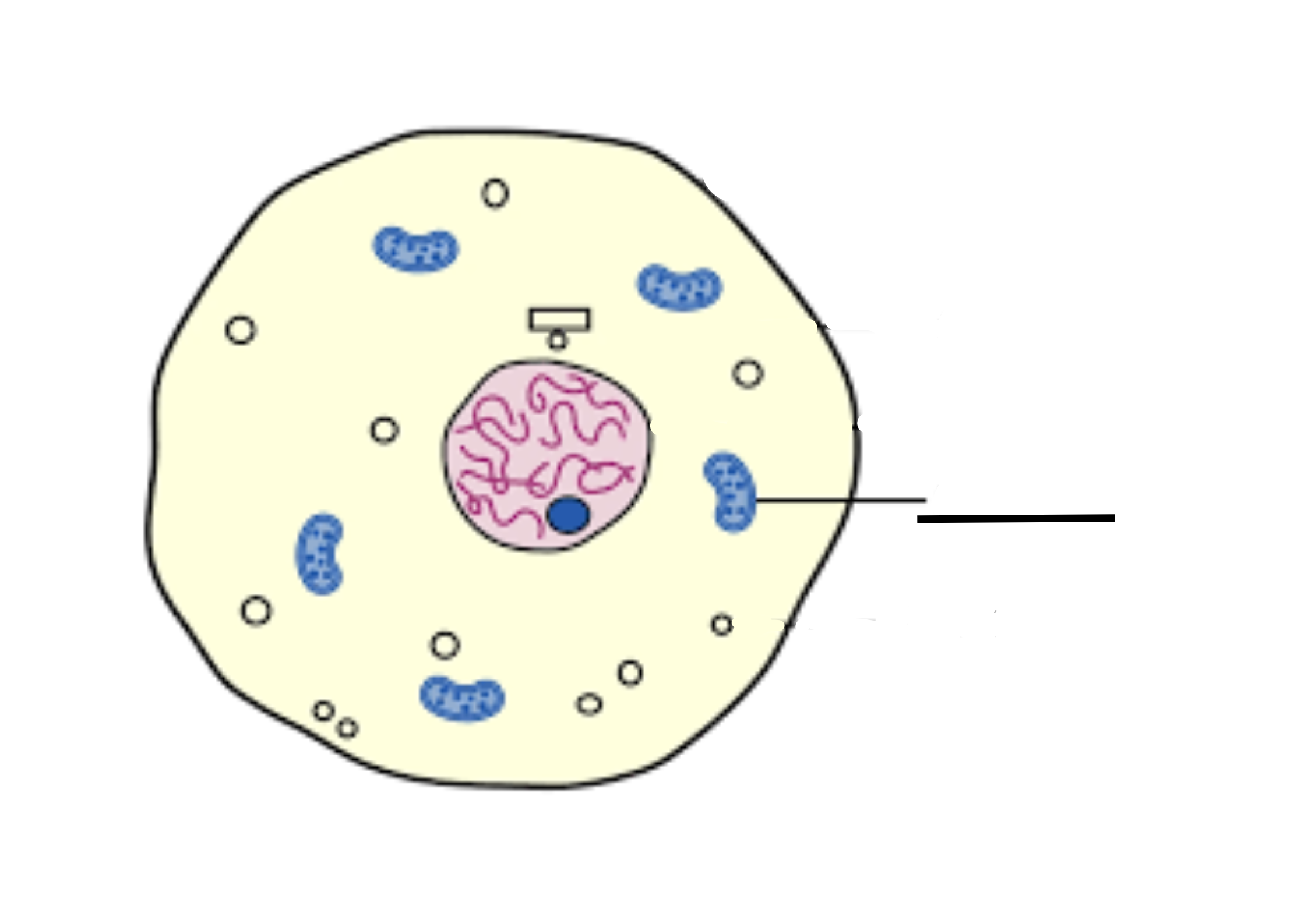 <p>What is this and its role</p>