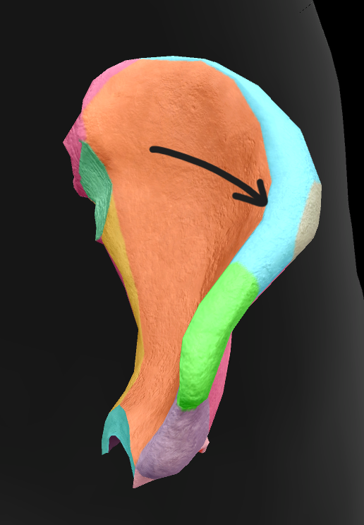 term image