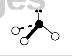 <ul><li><p>3 bonds, 1 lone pair</p></li><li><p>bond angles: 107.5 degrees</p></li><li><p>electron geometry: tetrahedral</p></li><li><p>molecular geometry: trigonal pyramidal</p></li></ul><p></p>