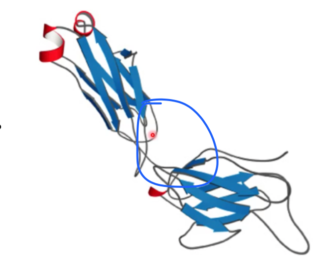 <p>what motif? what active site? </p>