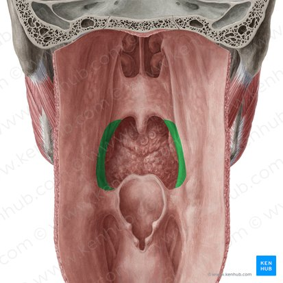 term image