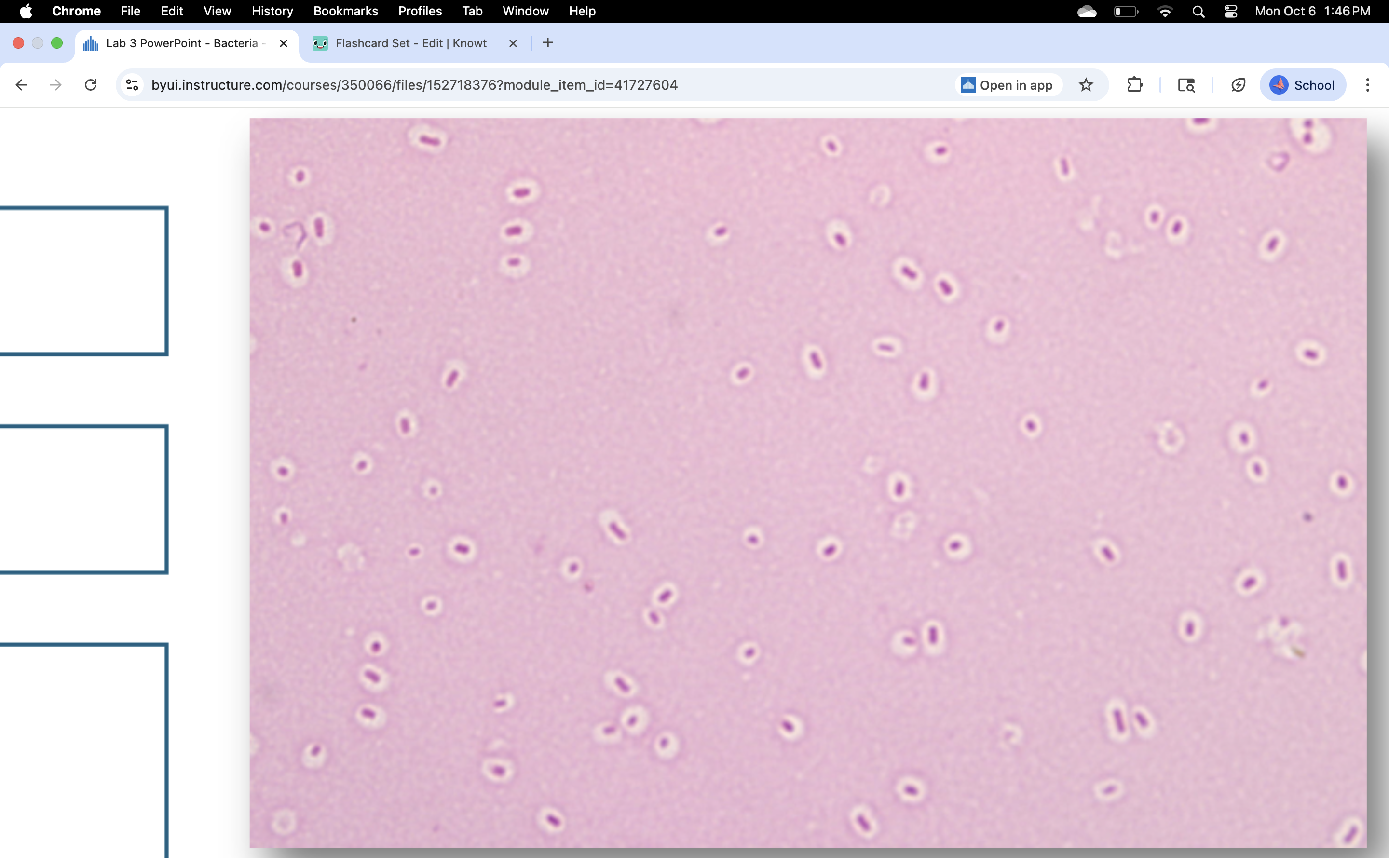knowt flashcard image