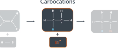 <p>In addition reactions, alkenes form intermediates, before they form the final product. These intermediates are called carbocations because they are cations that contain positively charged carbon atoms</p><p></p>