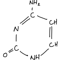 knowt flashcard image