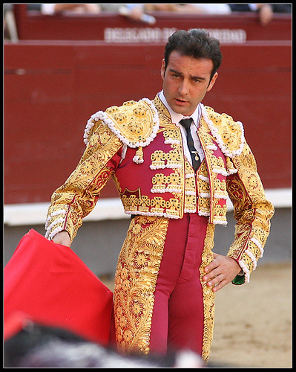 <p>the torero's outfit</p>