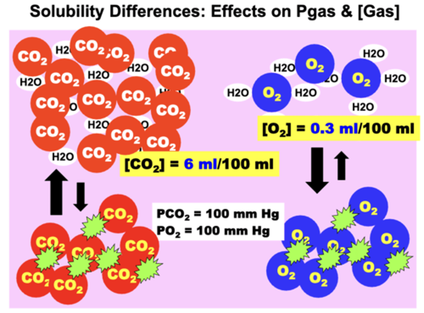 <p>CO2 is 20x more soluble in plasma compared to O2</p><p>- much more dissolved CO2 in the plasma may exist than O2 even though the PO2 value may be much higher than the PCO2 value</p><p>o If the two gases are present at the SAME partial pressure (PCO2 = PO2) → O2 will possess a lower vol% than CO2</p><p>o If the two gases are present at the SAME concentration (O2 vol% = CO2 vol%) → O2 will exert a higher Pgas than CO2</p>