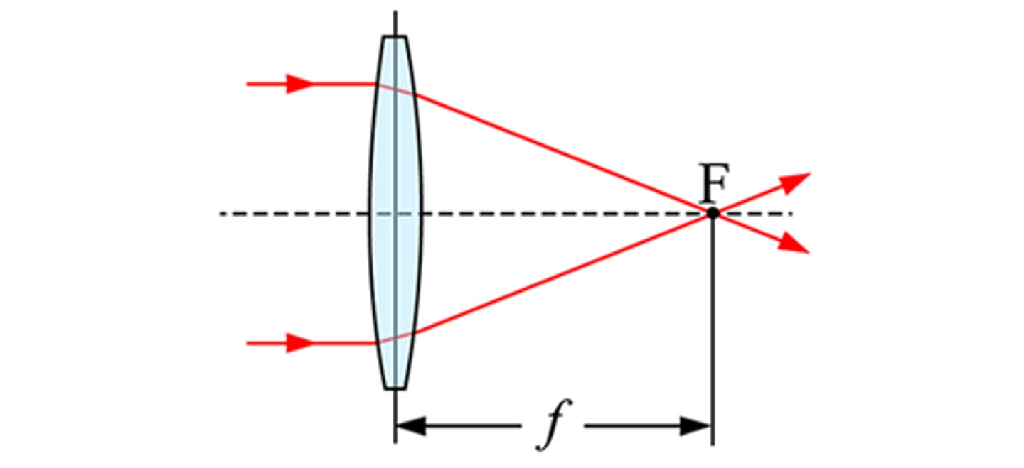 <p>Labelled as "f." It is the distance from the focal point to the mirror.</p>