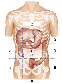 <p>R&amp;L Iliac </p>