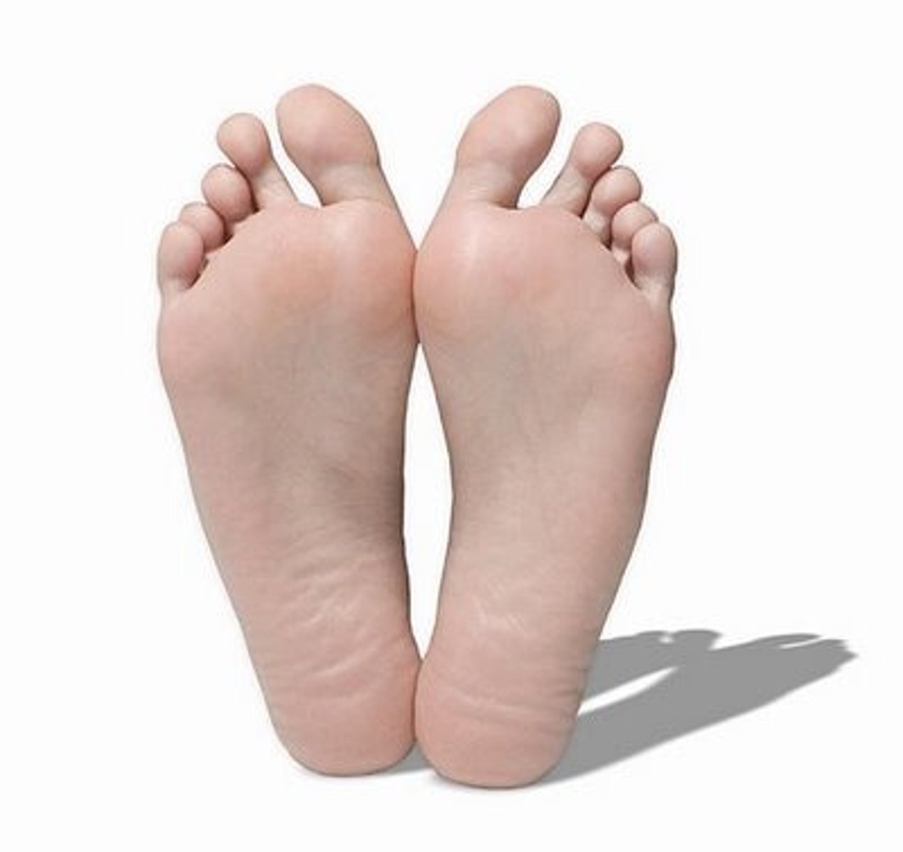 <p>Is about the length of a football or an actual foot</p>
