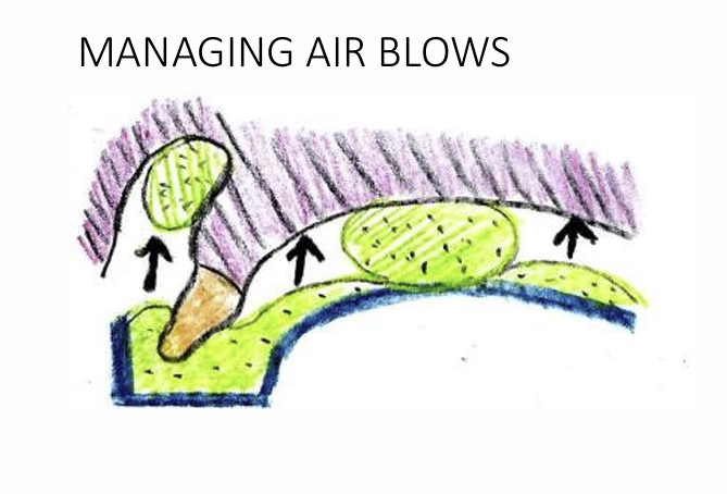 <p>air blows - air trapped in the areas causing air blows in the alginate</p><p>to manage you can pre load these areas with alginate before you put the tray in</p><p>tray is already preloaded with alginate - then quickly add the alginate in the sulcus before quickly placing the tray in the mouth so the alginates can join together - they might not stick together if you delay </p>