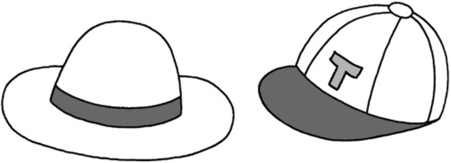 <p>hat; cap</p>