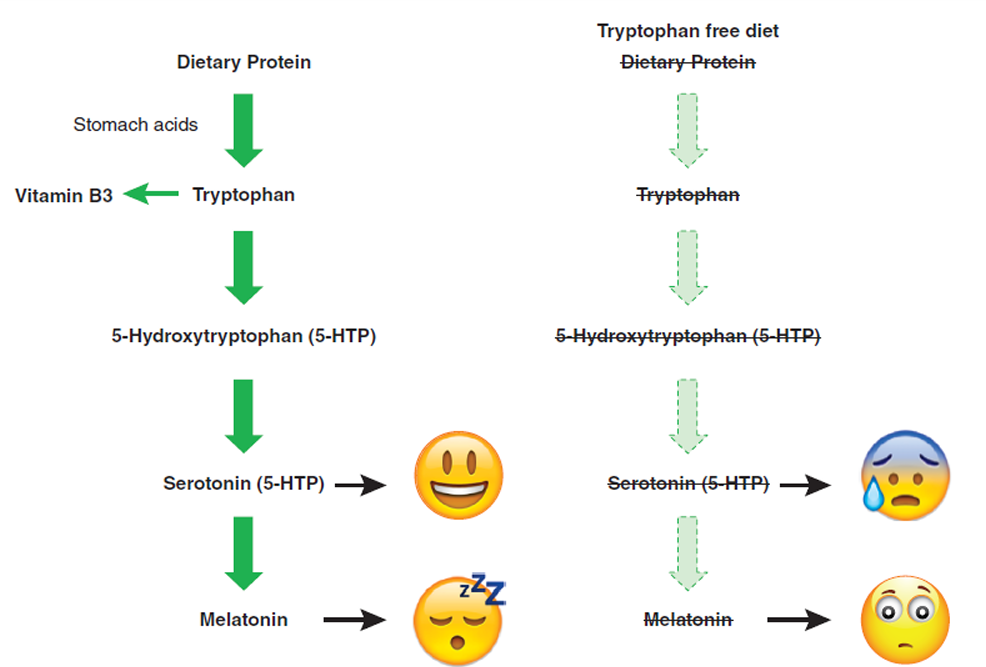 tryptophan