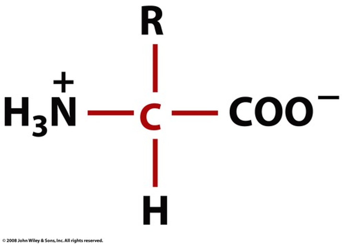 <p>Amine is + and carboxylate is -. Charges cancel. Amino acid is neutral</p>