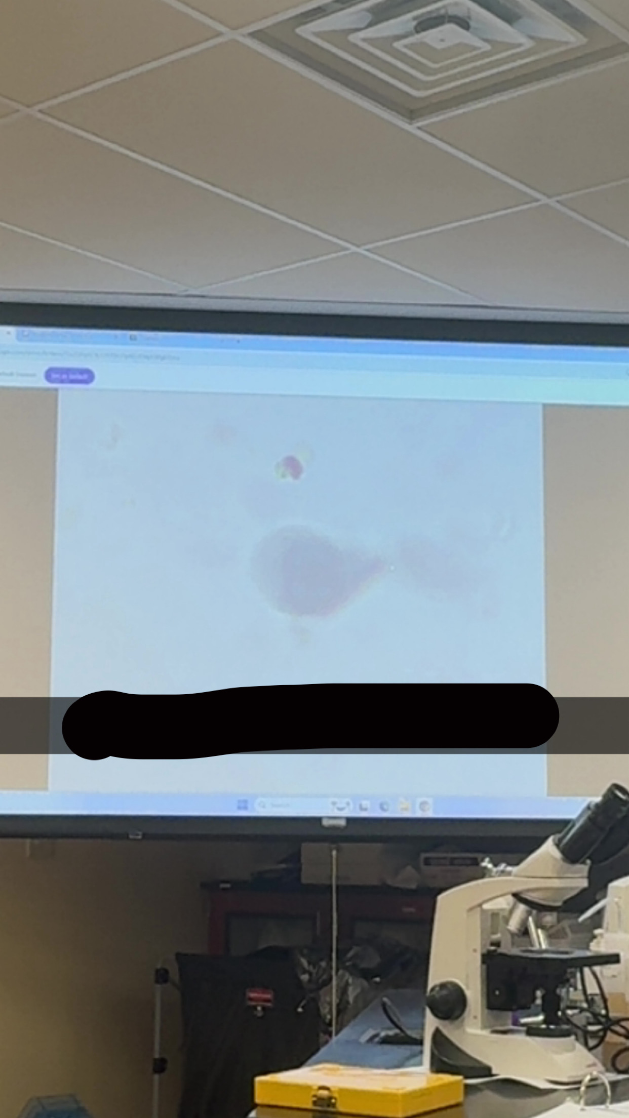 <p>What’s the name of this </p>