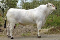 <p>What are my distinctions?</p>