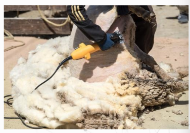 <ul><li><p>veterinarian</p></li><li><p>animal health officers</p></li><li><p>livestock workers, particularly in anthrax endemic area</p></li><li><p>workers handling animal products (wool, meat, hair, skin, bone, or bone products)</p></li><li><p>households or breeders who have discovered their livestock died and consumed meat contaminated with anthrax spores</p></li><li><p>military personnel</p></li><li><p>laboratory workers handling anthrax samples</p></li><li><p>emergency response workers handling bioterrorism are among those at high risk of contracting anthrax</p></li></ul><p></p>
