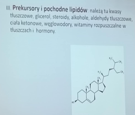 <p>kwasy tłuszczowe</p><p>glicerol</p><p>steroidy</p><p>alkohole</p><p>aldehydy tłuszczowe</p><p>ciała ketonowe</p><p>węglowodory</p><p>witaminy rozpuszczane w tłuszczach</p><p>hormony</p>