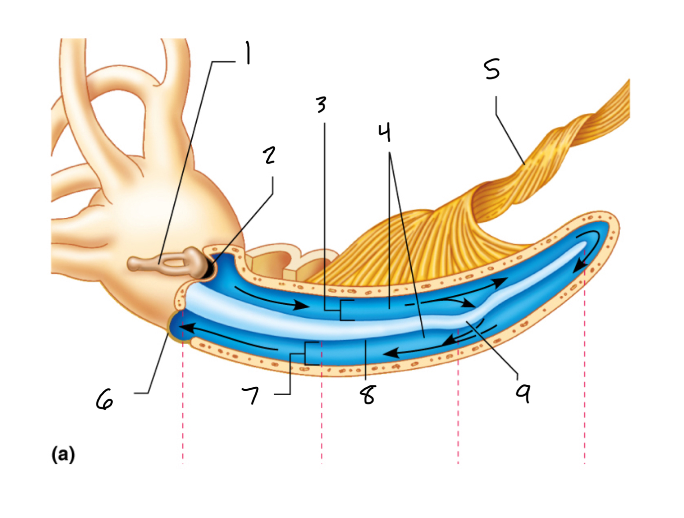 <p>2</p>