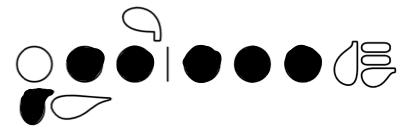 <p>D</p>