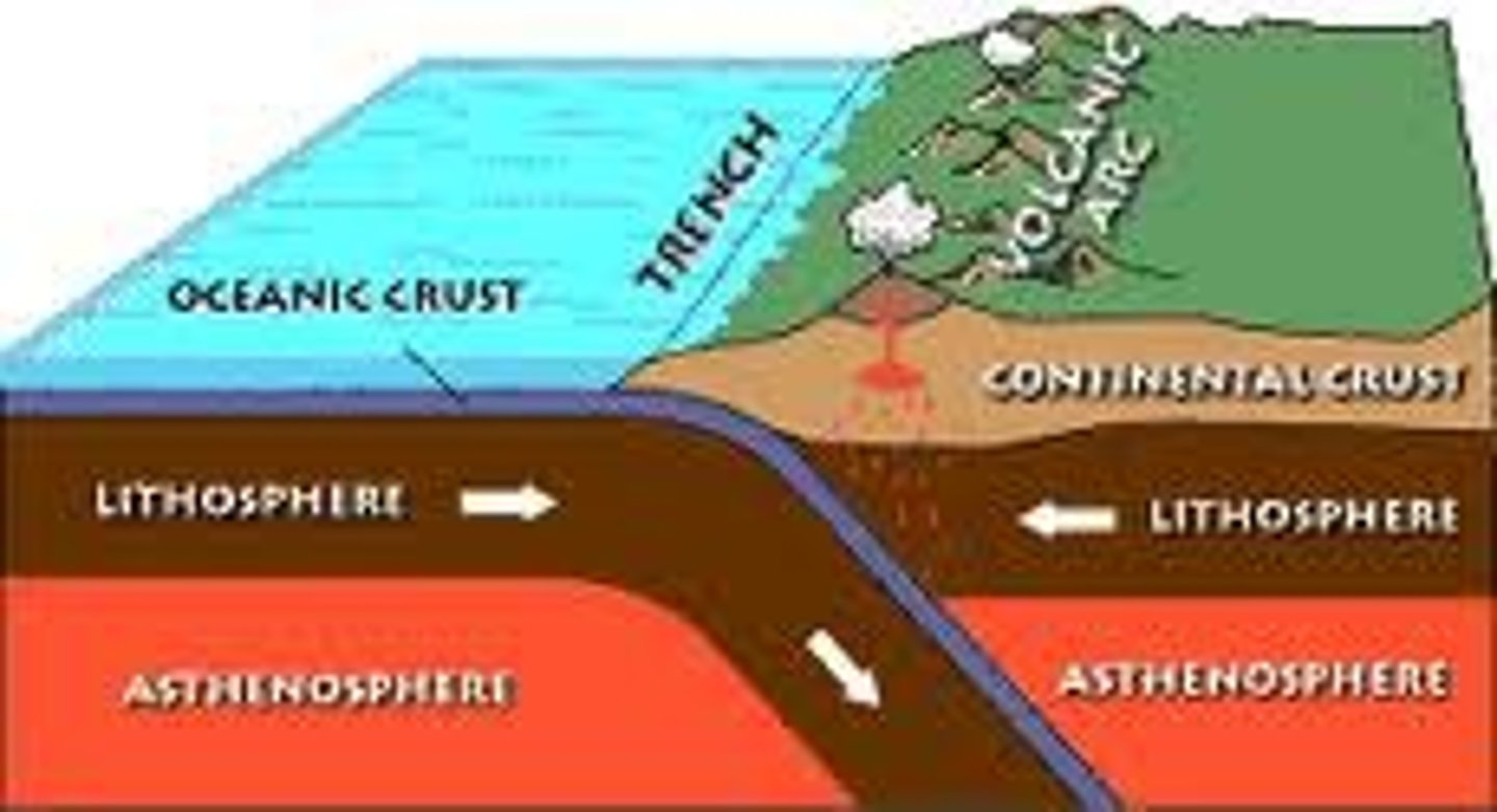 <p>Occur where two plates slide TOWARD each other, commonly forming either a subduction zone or orogonic belt.</p>