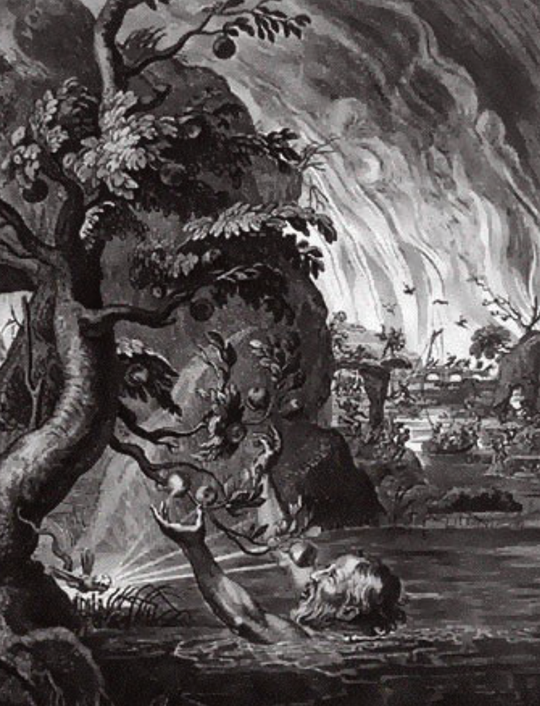 <p>who is this and why are they here</p>