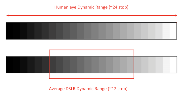 Dynamic range is the range of light intensities (measured in stops) that the camera can capture. The lowest light level in the range of the camera will be recorded as black, the highest level in the range will be recorded as white.  