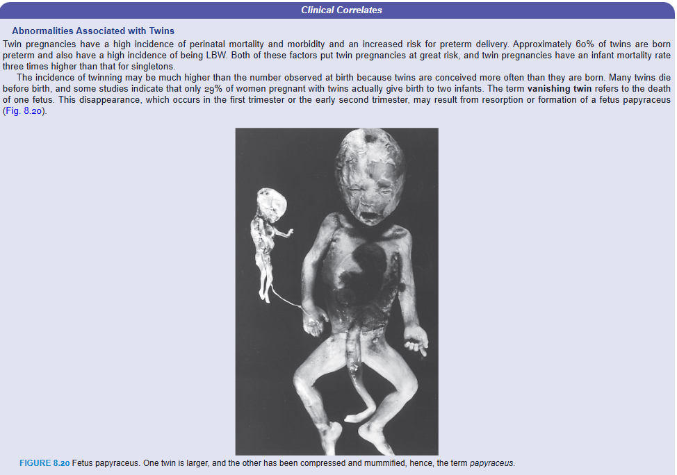 <p>Clinical Correlates</p><p>Abnormalities Associated with Twins</p><p>Twin pregnancies have a high incidence of perinatal mortality and morbidity and an increased risk for preterm delivery. Approximately 60% of twins are born preterm and also have a high incidence of being LBW. Both of these factors put twin pregnancies at great risk, and twin pregnancies have an infant mortality rate three times higher than that for singletons.</p><p>The incidence of twinning may be much higher than the number observed at birth because twins are conceived more often than they are born. Many twins die before birth, and some studies indicate that only 29% of women pregnant with twins actually give birth to two infants. The term vanishing twin refers to the death of one fetus. This disappearance, which occurs in the first trimester or the early second trimester, may result from resorption or formation of a fetus papyraceus (Fig. 8.20).</p><p>Another problem leading to increased mortality among twins is the twin–twin transfusion syndrome, which occurs in 15% of monochorionic monozygotic pregnancies. In this condition, placental vascular anastomoses, which occur in a balanced arrangement in most monochorionic placentas, are formed such that transfer of blood from one twin (donor/pump) to the other (recipient) occurs. As a result, the donor twin develops anemia, hypovolemia (decreased blood volume), and growth restriction, while the recipient twin develops polycythemia (excessive numbers of red blood cells) and hypervolemia that cause cardiac hypertrophy and congestive heart failure (Fig. 8.21). The outcome is poor, with the death of both twins occurring in 50% to 70% of cases.</p><p>At later stages of development, partial splitting of the primitive node and streak may result in formation of conjoined twins. These twins are classified according to the nature and degree of their union (Figs. 8.22 and 8.23). Occasionally, monozygotic twins are connected only by a common skin bridge or by a common liver bridge. The type of twins formed depends on when and to what extent abnormalities of the node and streak occurred. Misexpression of genes, such as GOOSECOID, may also result in conjoined twins. Many conjoined twins have survived, including the most famous pair, Chang and Eng, who were joined at the abdomen and who traveled to England and the United States on exhibitions in the mid-1800s. Finally settling in North Carolina, they farmed and fathered 21 children with their two wives.</p><p>In brother–sister pairs of dizygotic twins, testosterone from the male twin can affect development of the female. Thus, females in such pairs tend to have square jaws, larger teeth, perform better on spatial ability tests and have better ball skills than most girls. They are 15% less likely to get married and they have fertility problems, producing 25% fewer children.</p>