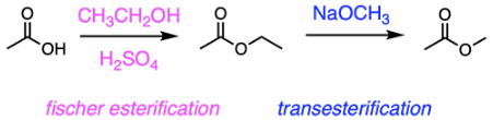 <p>B</p><p><span>When the carboxylic acid is reacted with ethanol (CH</span><sub>3</sub><span>CH</span><sub>2</sub><span>OH) and sulfuric acid, an </span><strong>ester</strong><span> is formed through </span><strong>Fischer esterification</strong><span>. </span><strong>Transesterification</strong><span> will occur when the resulting ester is reacted with methoxide, as shown below.</span></p>