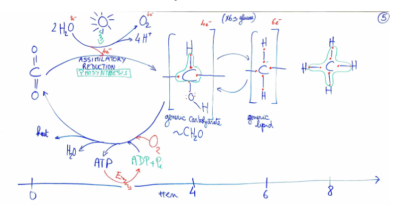 knowt flashcard image