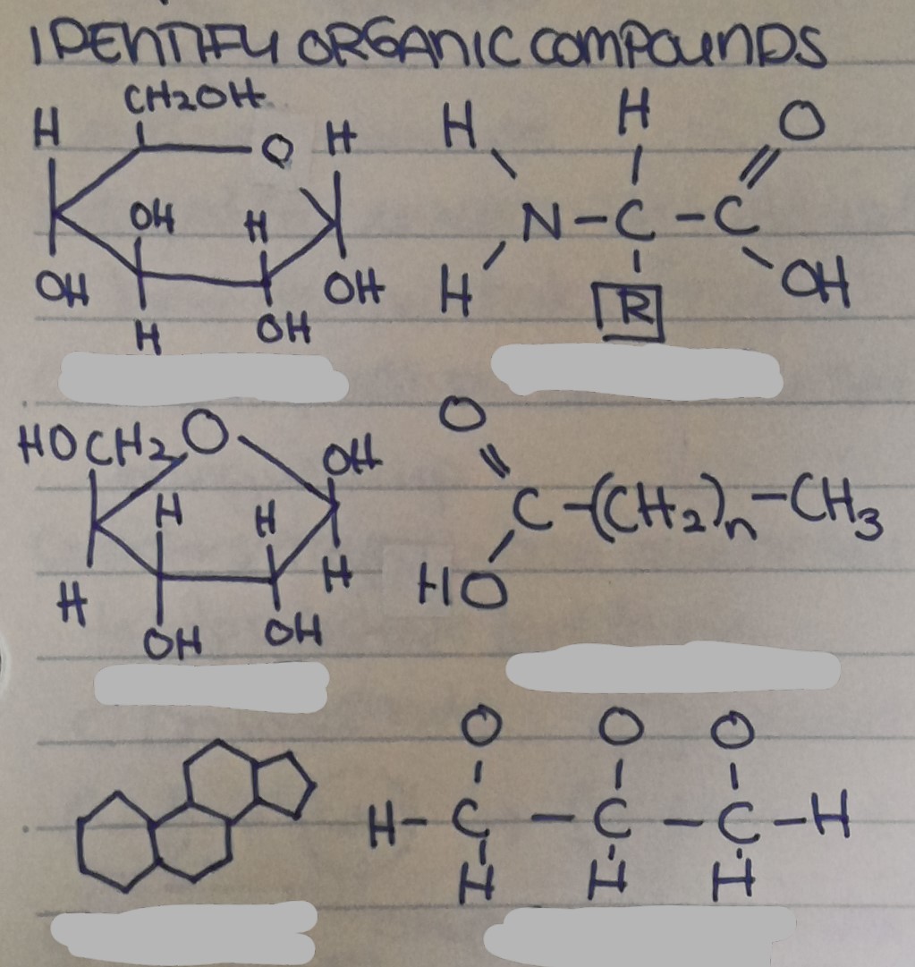 <p>Name the organic compound from top to bottom, left to right.</p>