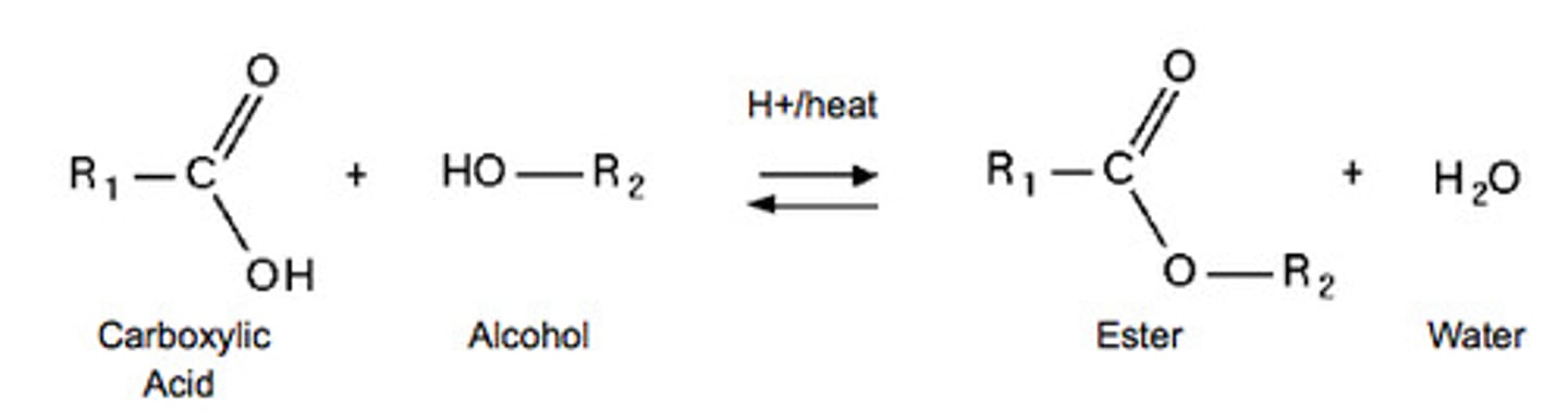 <p>alcohol, organometallics, Grignard, amines, ammonia</p>